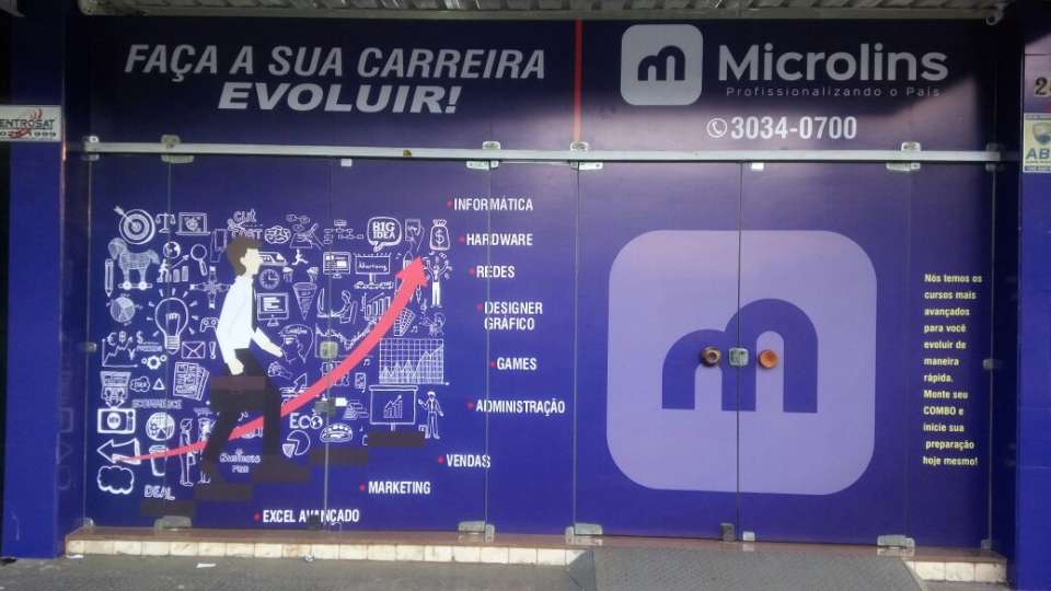 Microlins