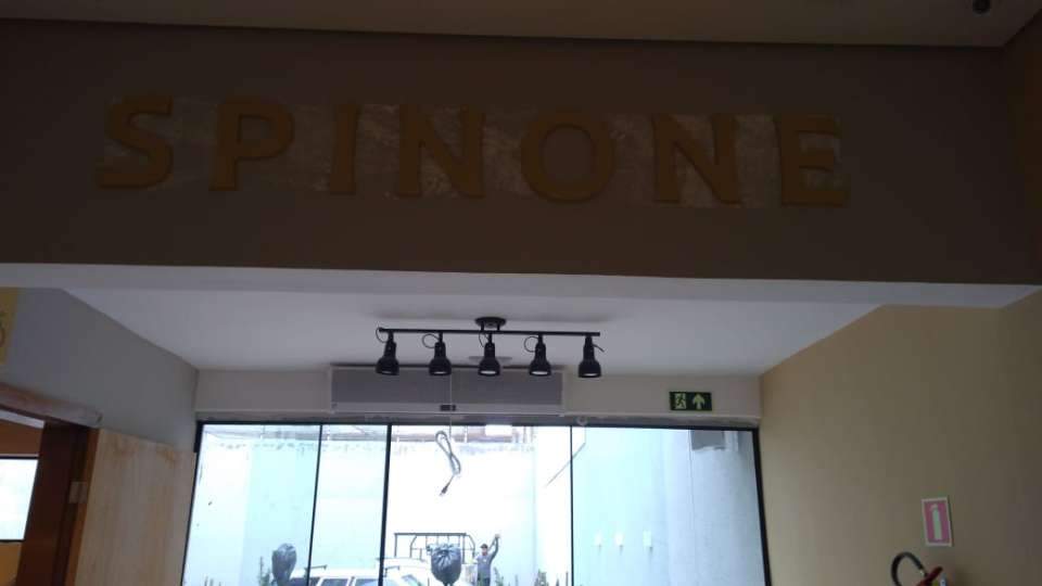 Spinone